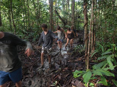 Album - Les EEDF en Guyane : Selection Risquetout-Maison de la Nature