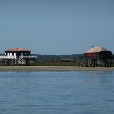 Petite virée dans le bassin d'Arcachon