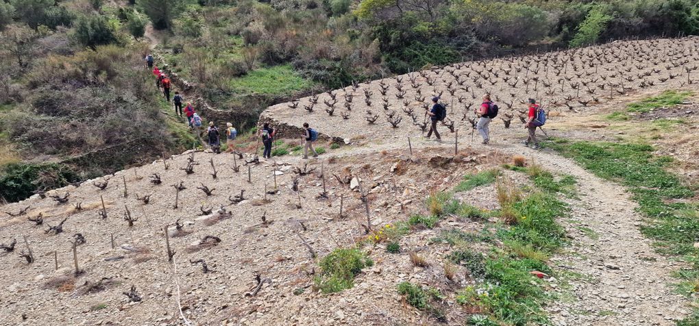 SEJOUR PORT VENDRES mercredi 20 mars 2024