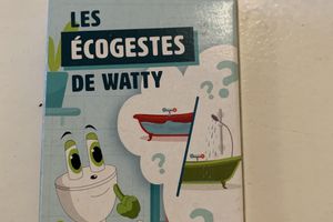 jeu de carte écologique 