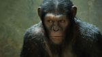 Critique : La planète des singes : les origines de Rupert Wyatt