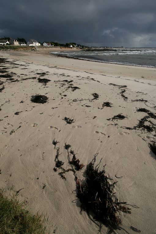 Hiver en Loire-Atlantique - Photos Thierry Weber Photographe La Baule Guérande