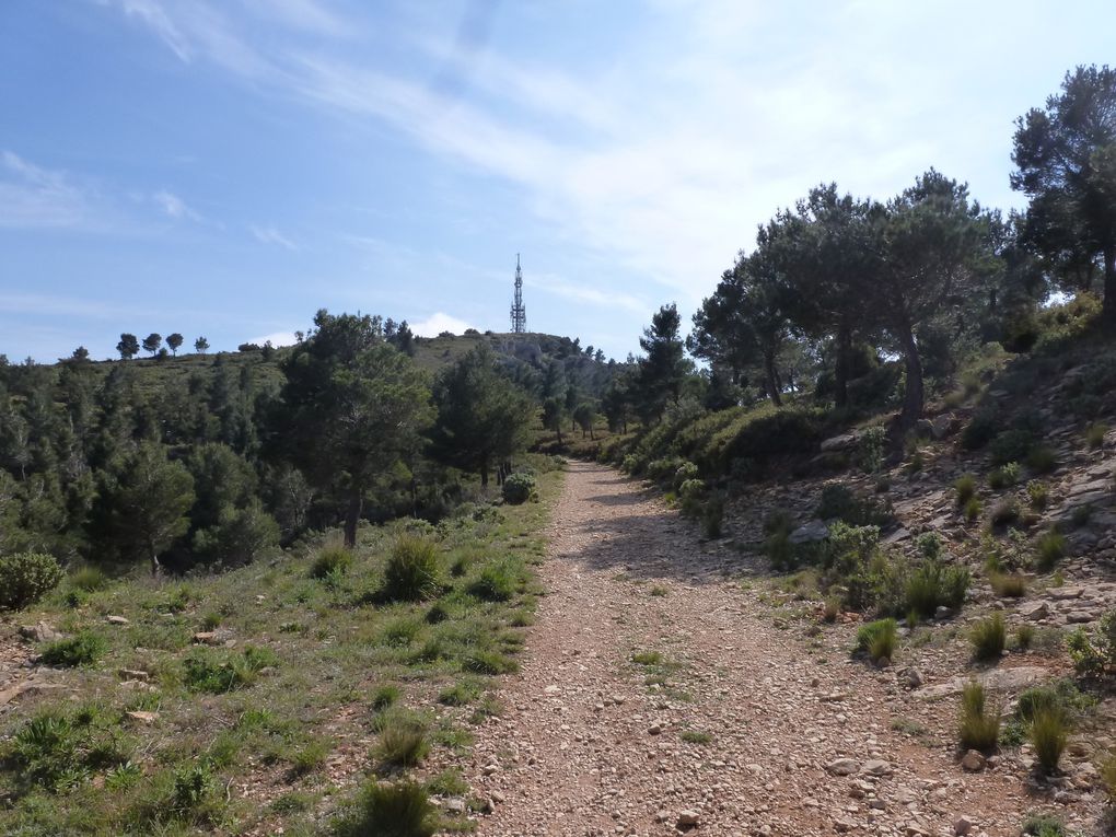 20 avril 2015 - La route des crêtes de la Ciotat