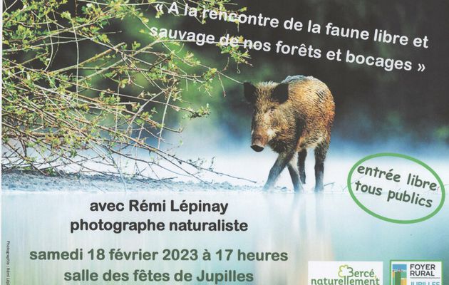 18 février 2023 : "A la rencontre de la faune libre et sauvage de nos forêts et bocages" à Jupilles 