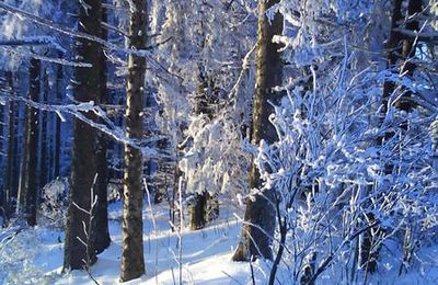 Ski au Champs du feu