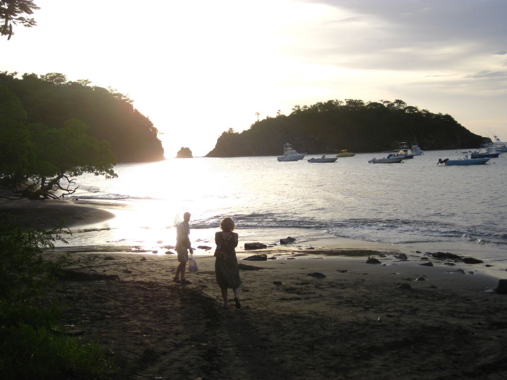 Album - PENINSULE NICOYA