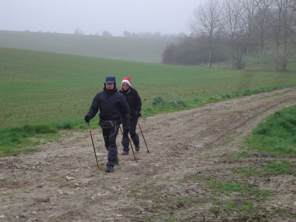 Vallée d'Oisemont