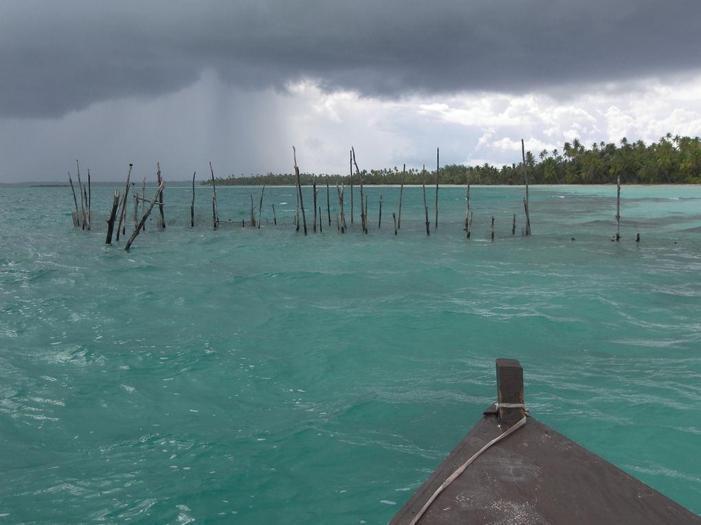 "L'île aux neufs yeux"