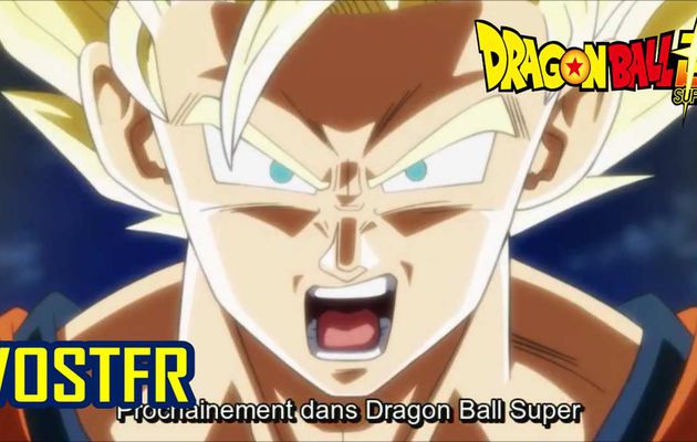 DRAGON BALL SUPER 90 VOSTFR HD