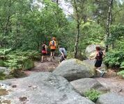Dernière sortie : les 25 bosses à Fontainebleau