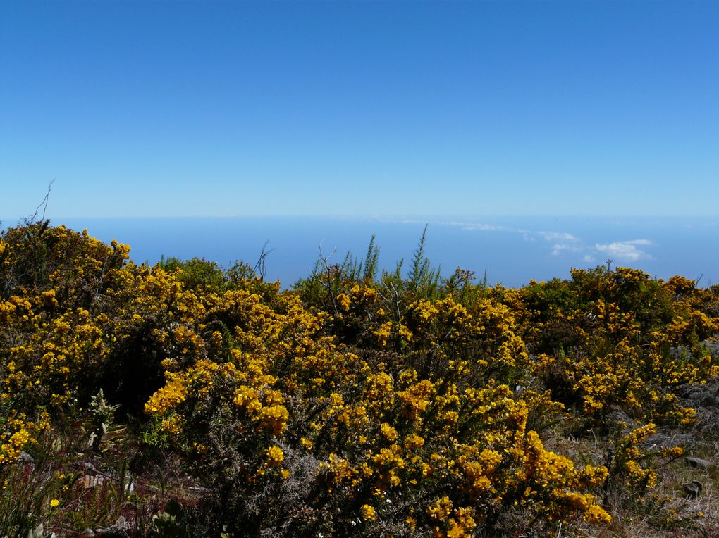 Album - ile-de-la-Reunion