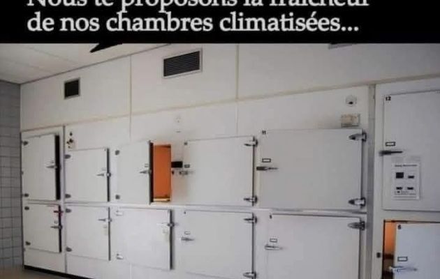 Plantes et humour 