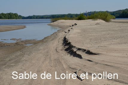 Loire de sable...... déjà !