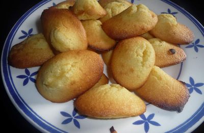 Les madeleines de Mademoiselle Ysilde.