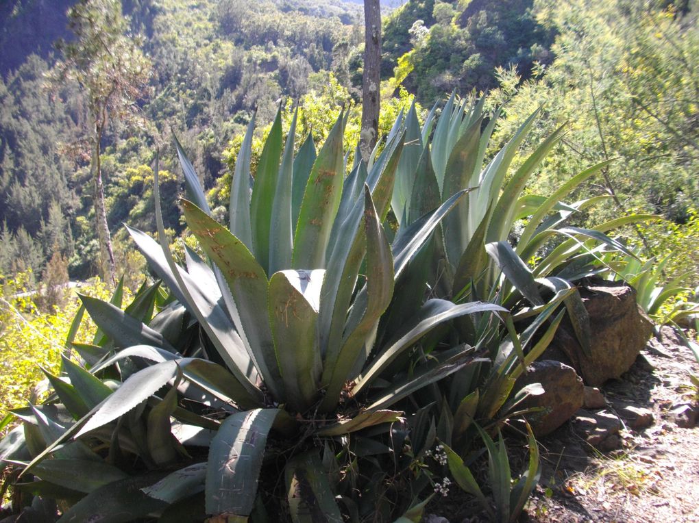 Album - La Réunion - Les Randos