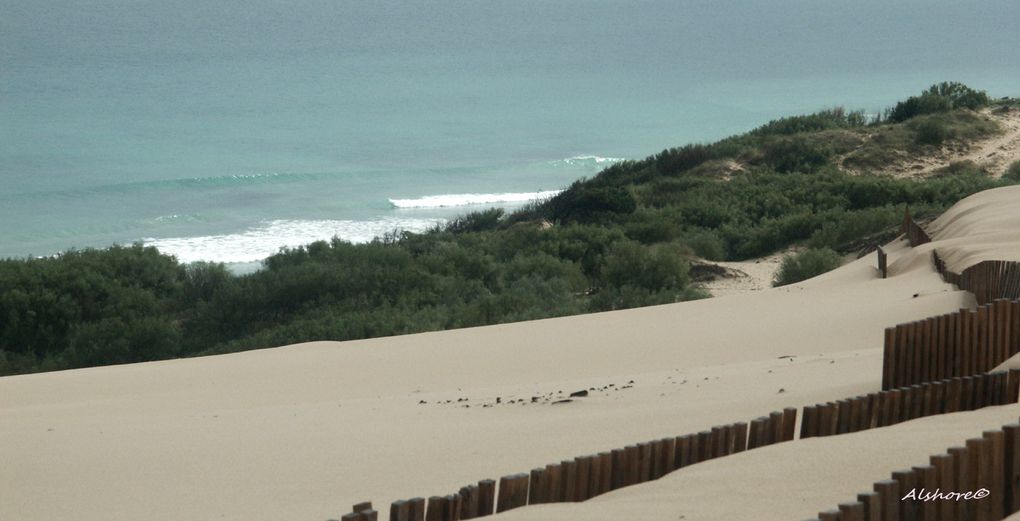 Album - Tarifa-Trip-2011