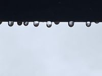 La Mure-Argens sous la pluie : une symphonie de nature