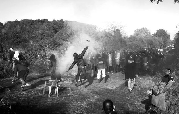 La lutte de la Zad de Notre-Dame-des-Landes