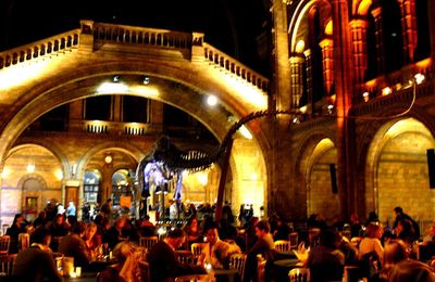Late night au natural history museum