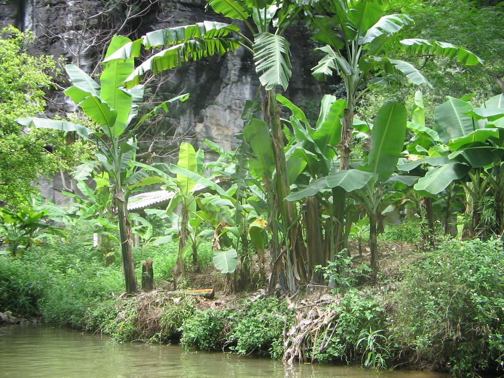 Album - Ninh-Binh--Tam-Coc--Hoa-Lu-