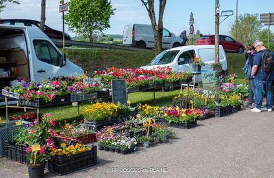 Photos du jour : MADONNE-ET-LAMEREY 14 mai 2023 - Marché au fleurs