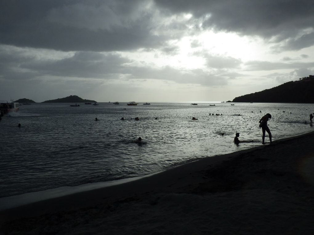 Album - Guadeloupe-2012-Part-1