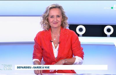 Caroline Roux C Dans l'Air France 5 le 29.04.2024