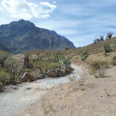 Arequipa et le Canyon de Colca (Sud Perou)
