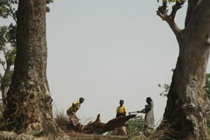 Album - BURKINA-FASO-couleur3