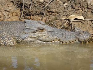 Kakadu National Park 