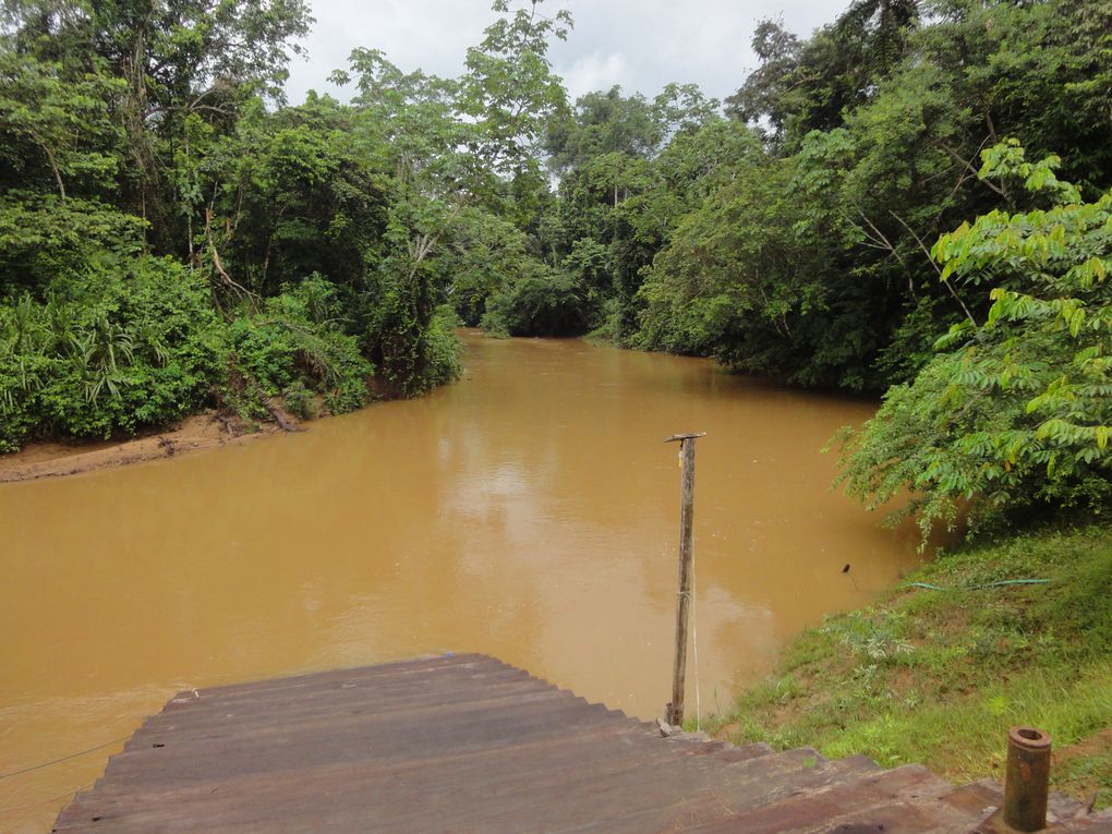 Album - Bataburo-lodge