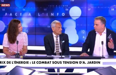 Alexandre Jardin : le prix de l'énergie