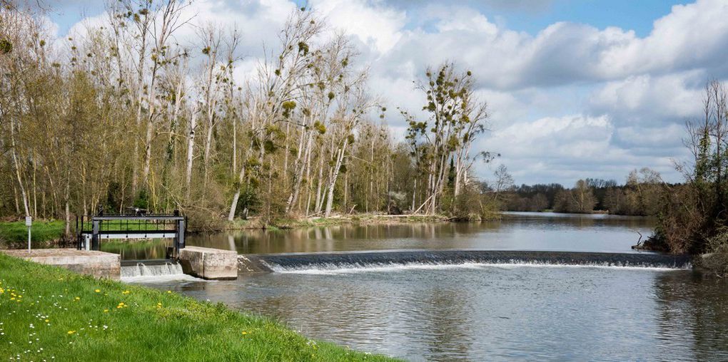 Photos Francis M. (Photos au soleil levant : le marais du Teich ; Photos ornithologiques au marais du Grand Hazé : photos au bord de l'eau au moulin de Pincé)