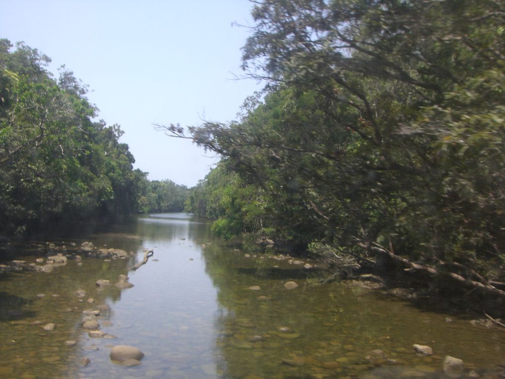 photo des gorges de Mossman, du reef et vrac de ce super week end