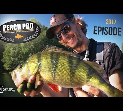 Perch Pro 2017 épisode 3!