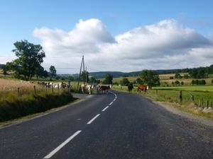 Dimanche 23 juillet en images