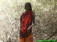 Ethiopie 2 - du désert du Danakil au parc Awash