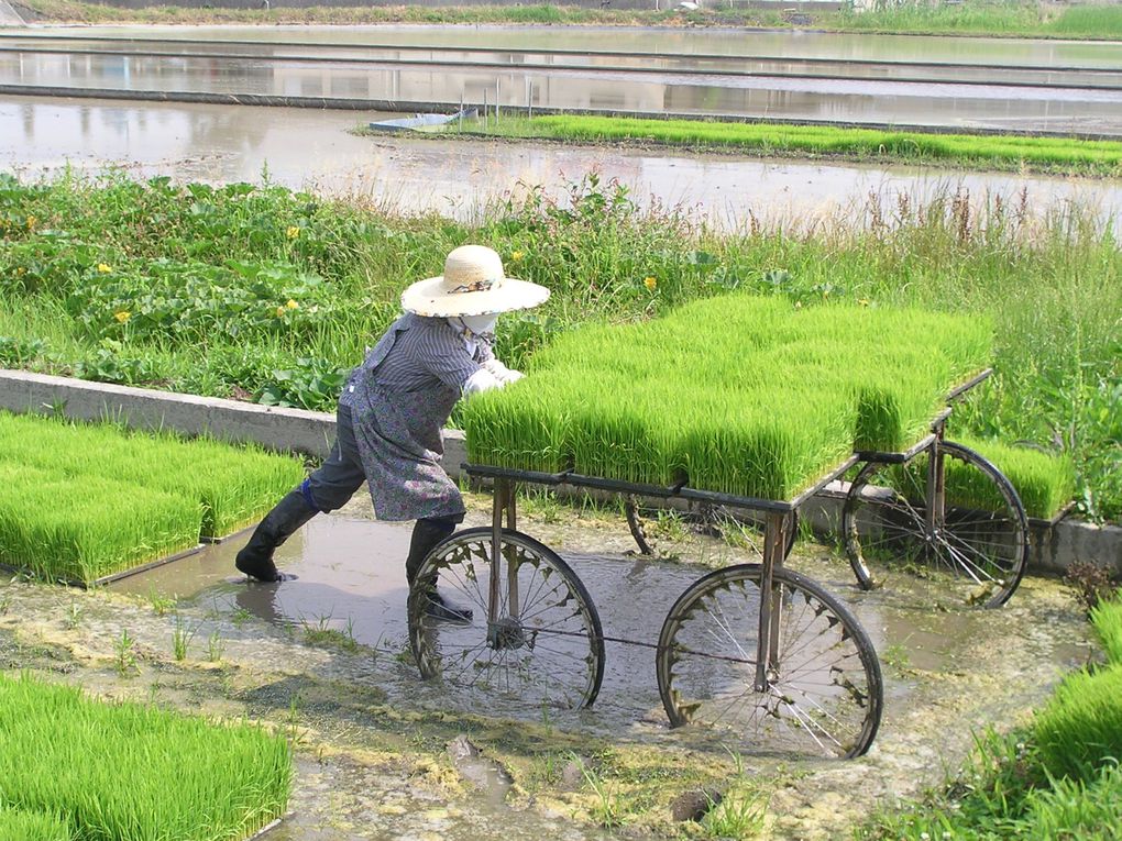 Album - vendredi-19-juin-la-campagne-japonaise