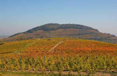 Mont Brouilly - Beaujolais - paysage automnal