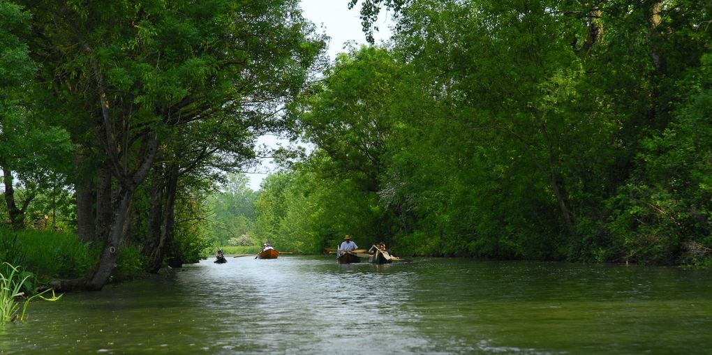 Album - marais-poitevin 2011 -12