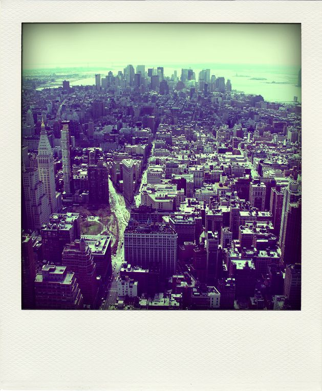 Album - NEW-YORK-POLA