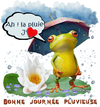 Bonne journée pluvieuse - grenouille et parapluie gif animé-a