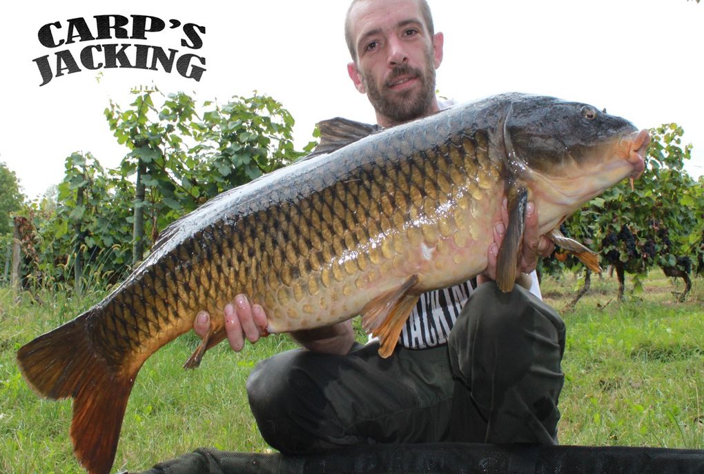 Franck DUBOIS Carp Fishing.