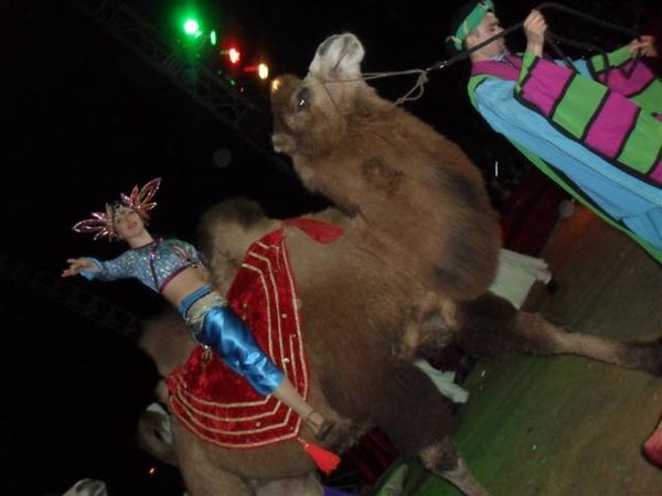 Le Grand Cirque De St Petersbourg {#Sortieaucirque}{#Cirque}