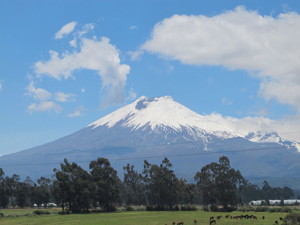 L'Equateur a décidément tout à vous offrir pour 3 semaines à 1 mois de voyage. Passez dans un si petit pays des Andes à la plage, en passant par les volcans et l'Amazonie : un condensé de bonheur