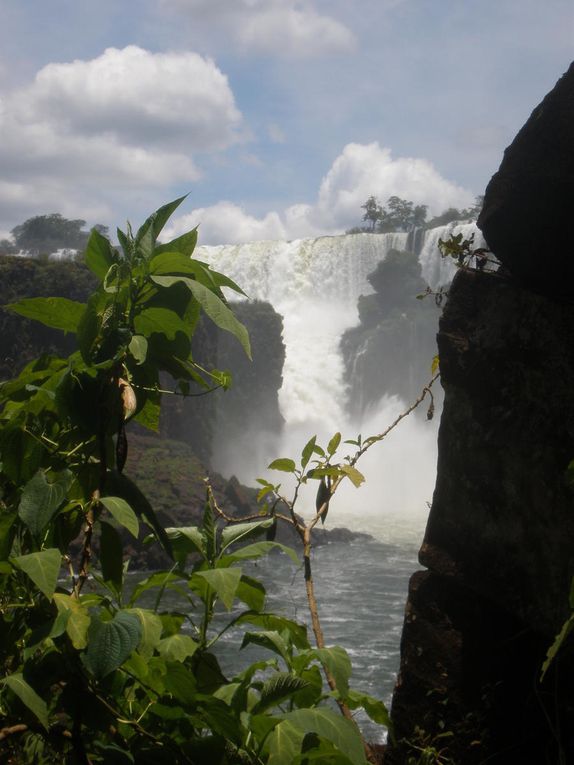 Dans la lumière d'une resplendissante journée d'été, les chutes d'Iguazu du côté argentin : des centaines de points de vue, dans un crescendo de beauté qui atteint son apogée à la "Garganta del Diablo" ("Gorge du Diable"), où arc-en-ciel et