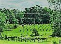 #LaCrescent Wine Producers New Hampshire Vineyards