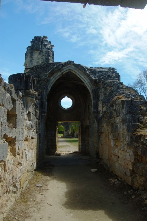 Les ruines de l'abbaye de Vauclair.