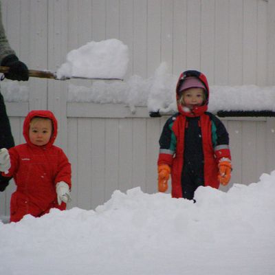 Vive décembre et vive la neige !!!!