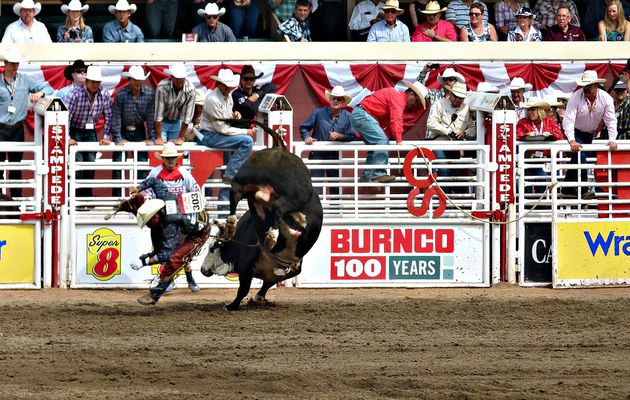 Renting Out a Mechanical Bull 